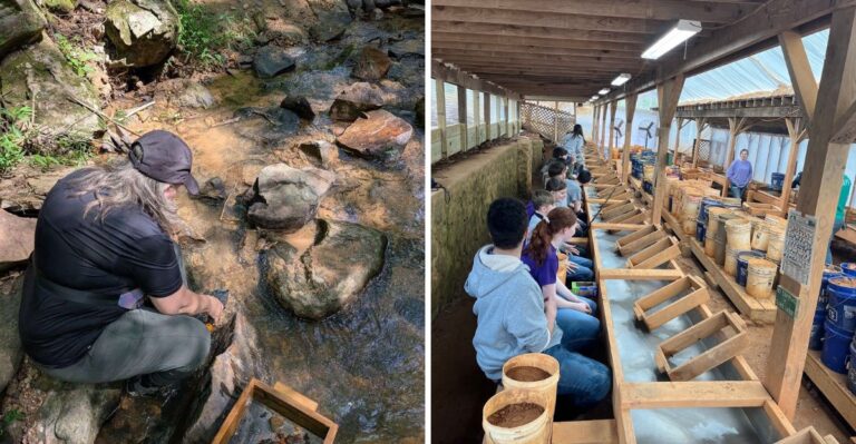 This Old North Carolina Mine Lets You Hunt For Treasures And Keep Everything You Find