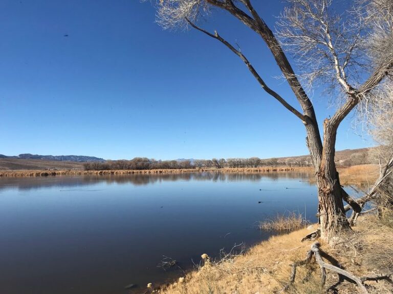 Migrating Cranes Stop At This Nevada Desert Oasis With Shaded Trails And A Visitor Center