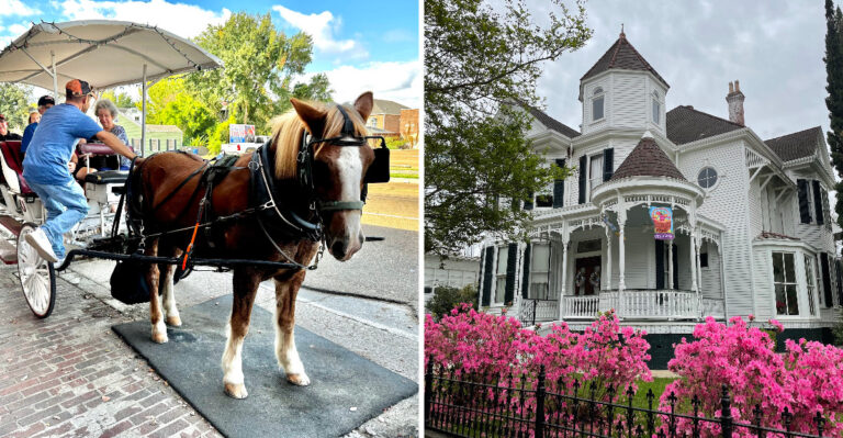 A Horse-Drawn Carriage Ride Through Historic Natchez, Mississippi Turns 45 Slow Minutes Into The Whole Family’s Favorite Memory
