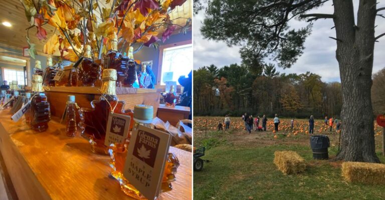 This Wisconsin Maple Syrup Farm Offers Sweet Treats And Scenic Farm Tours