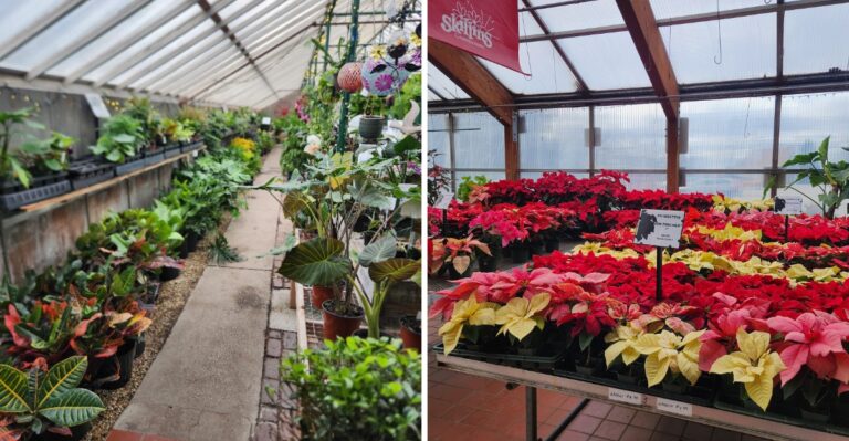 This Maine Garden Center Is Loaded With Affordable Plants And Surprising Outdoor Finds