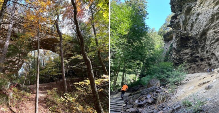 10 Tennessee Hiking Trails Where You Need To Watch For Rattlesnakes In September