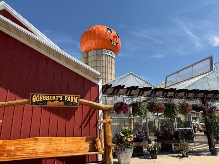 Camel Rides, Giant Slides And A Pumpkin Barn Fill Fall At This Illinois Farm