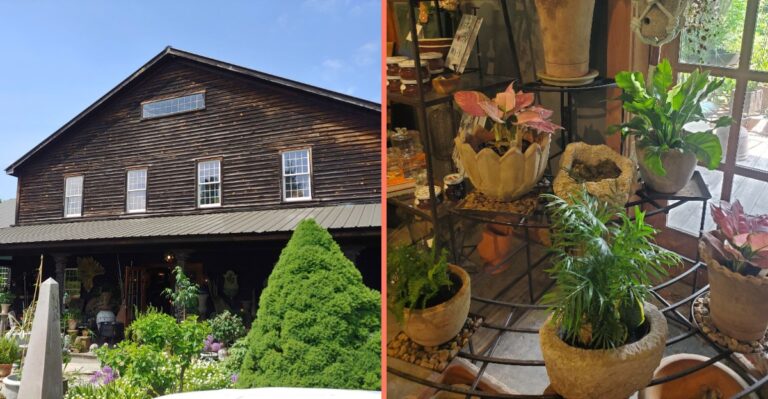 This Massachusetts Garden Shop Is Filled With Mossy Pots And One-Of-A-Kind Finds