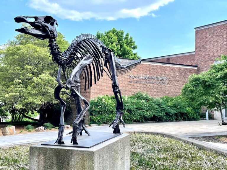 This Free Tennessee Museum Keeps Ancient Egypt, Real Fossils, And Lucy Under One Roof