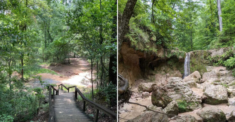 The Mississippi County Park Hiding Caves Underneath It That Most People Have Never Heard Of