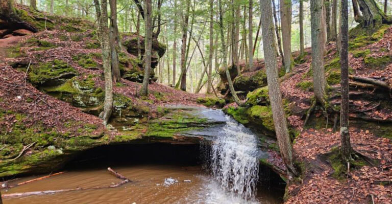 This Northwoods Hiking Trail Near Washburn Winds Past Ancient Forest And Waterfalls