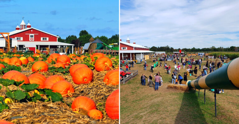 This New York Pumpkin Farm Becomes A Fall Bakery Destination For Only A Few Weeks Each Year