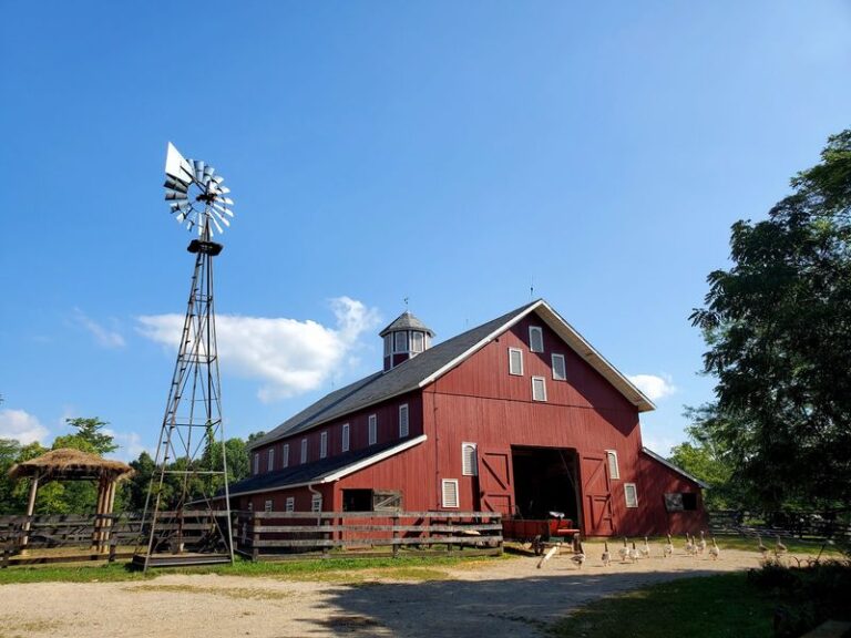 Chores Come First At This 1880s Farm In Ohio, Where Kids Gather Eggs