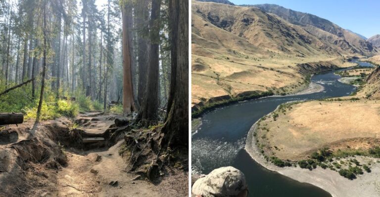 This Idaho National Forest Has Trails So Remote You May Not See Another Hiker