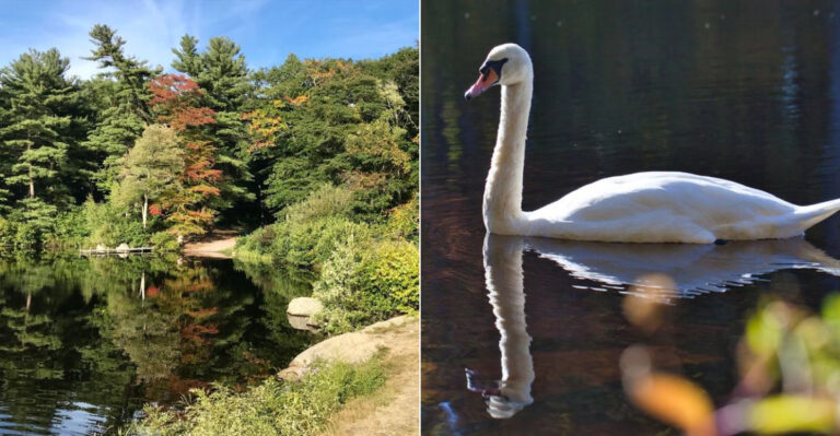 Few People Know About This Quiet Massachusetts State Park With Stunning Views And Zero Crowds
