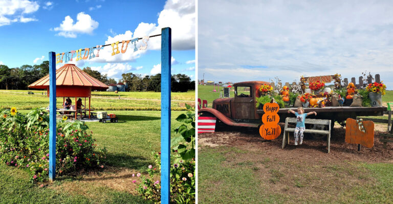 This Huge Mississippi Farm Bursts With Sunflowers And Pumpkins Every Fall