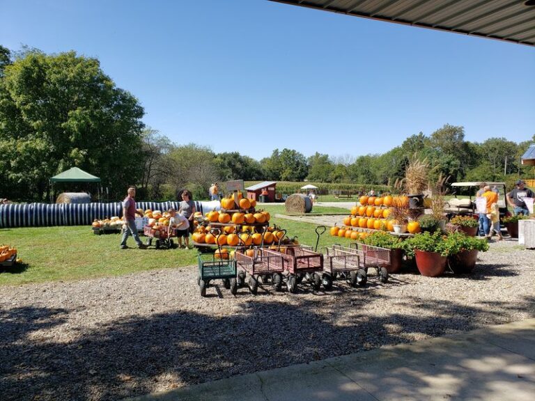 Only Through October Do These 6 Ohio Pumpkin Patches Offer Wagon Rides