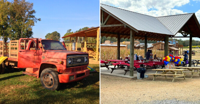 This Rustic Mississippi Farm Is Piled High With Thousands Of Pumpkins Every Fall, And Admission Is Just $12