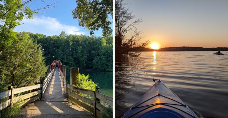 This Tennessee Lake May Be Too Snake-Infested For Its Own Good