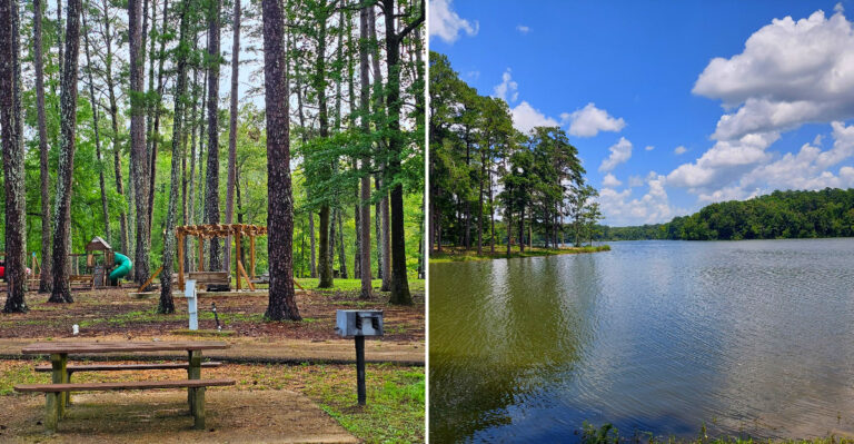 This Quiet Mississippi State Park Stays So Empty You Get The Trails Practically To Yourself