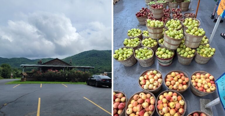 This Tennessee Apple Orchard Was Voted One Of The 10 Best In America
