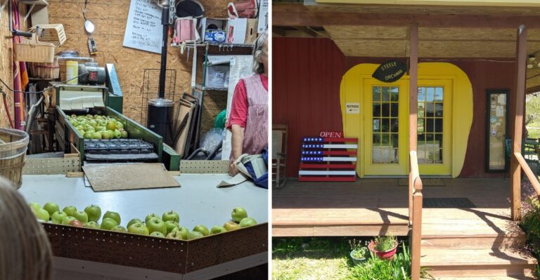 This Middle-of-Nowhere Alabama Farm Crafts Fresh Apple Cider From Scratch By Hand