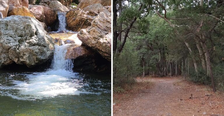 This Little-Known Arizona Trail Winds Beneath Towering Cliffs And Centuries-Old Pines