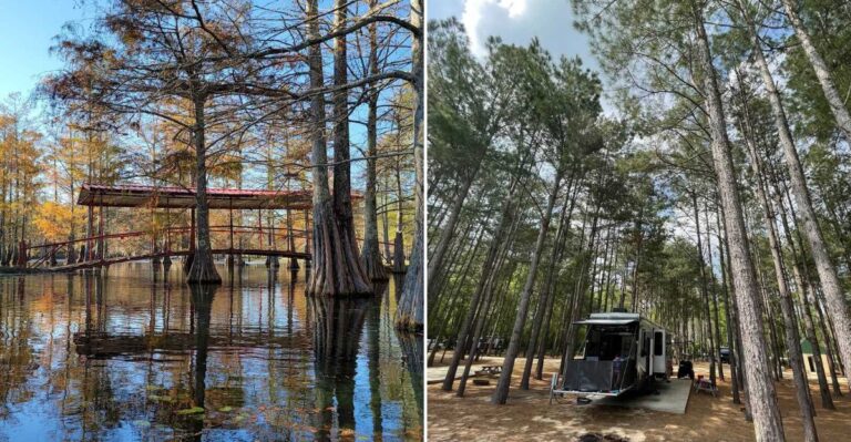 Few People Knew About This Mississippi Lagoon Until Word Finally Started Spreading