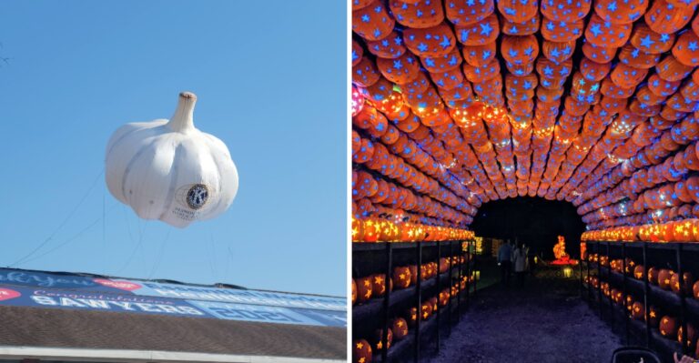 10 Fall Festivals In New York You’ll Want To Mark On Your Calendar