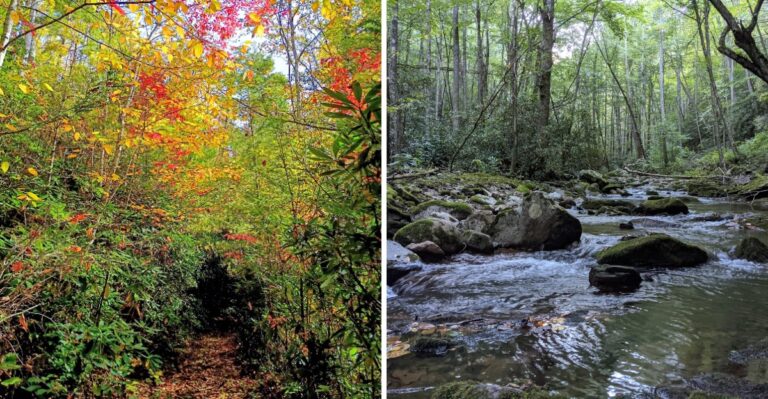 This Remote Tennessee State Park Has Hundreds Of Cascades, Mountain Cliffs, And Wild Fall Scenery