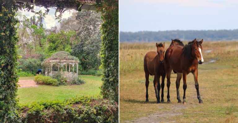 10 Dirt-Cheap Fall Day Trips In Florida You’ll Want To Take This Fall