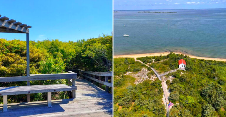 The New York Boardwalk Trail Where You Can Reach A Hidden Beach Without A Hard Climb