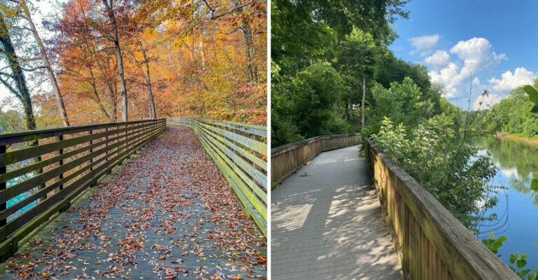 8 Tennessee Boardwalk Trails That Lead To Some Of The State’s Most Beautiful Water Views