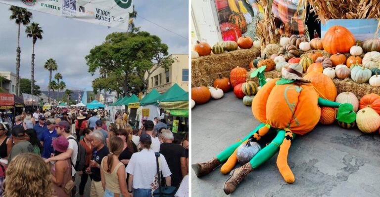 13 California Harvest Festivals And Farms To Plan Your September 2026 Road Trip Around
