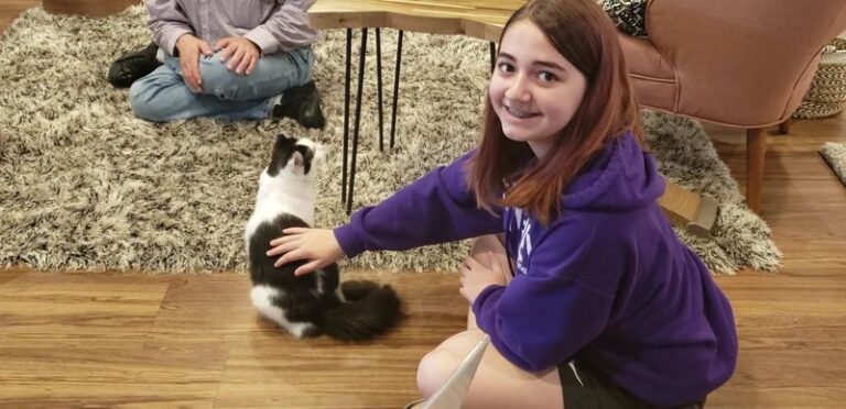 You Sip Coffee While Adoptable Cats Curl Up Beside You At This Tennessee Café