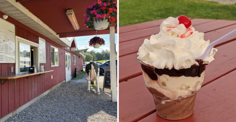 This New York Dairy Farm Is Worth The Drive For Its Homemade Ice Cream Alone