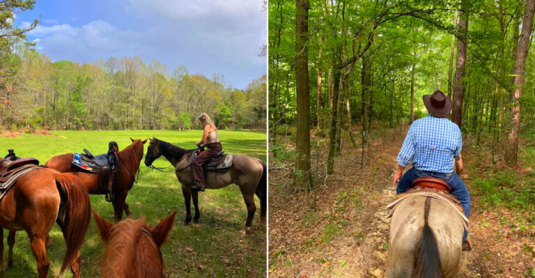 The 100-Acre Mississippi Horse Farm Where You Can Ride Out Into Open Country All Afternoon