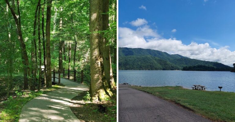 9 Short East Tennessee Walks With Big Views And Very Little Effort