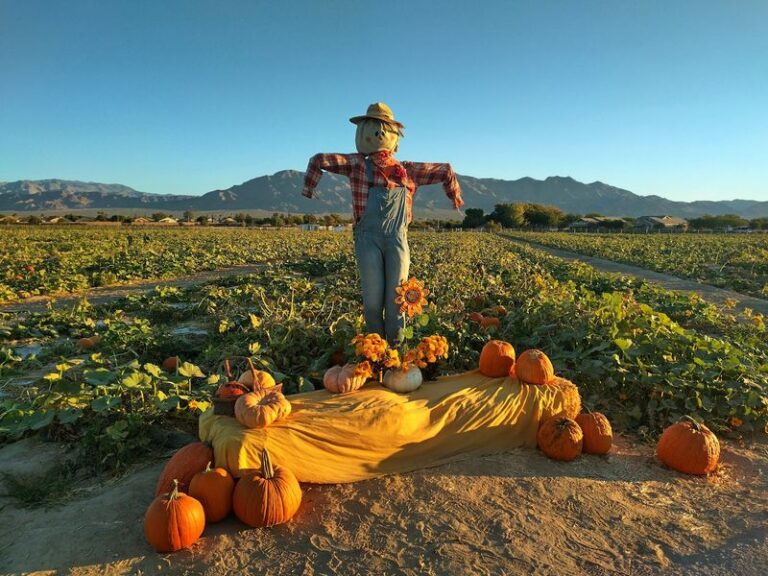 Pick Your Own Apples And Pumpkins By The Pound At This Las Vegas Orchard