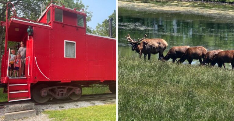 This Illinois Park Lets Your Kids Spend The Night In A Real Train Caboose