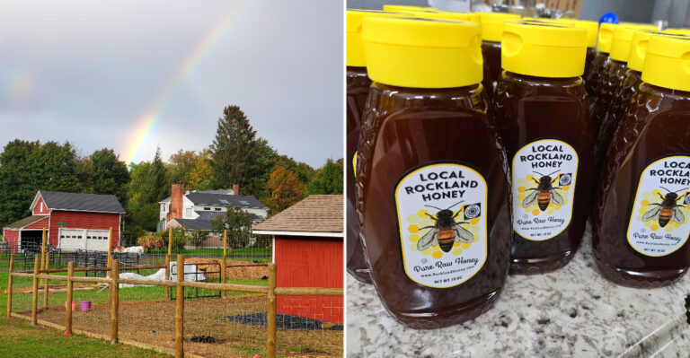 This New York Honey Farm Turns Fall Harvest Season Into A Full Day Out