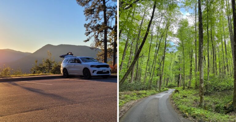 9 Best Things To See In The Tennessee Smokies Without Leaving Your Car