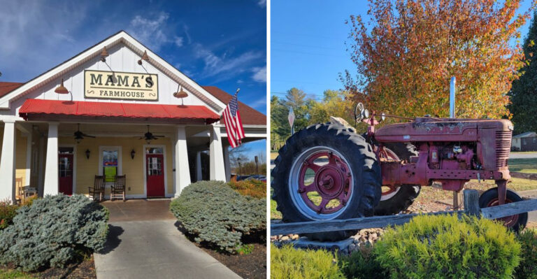 The Chicken And Dumplings At This Tennessee Buffet Are Worth An Hour Behind The Wheel