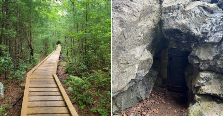 The 10 Haunted Trails In Massachusetts Locals Avoid After Dark