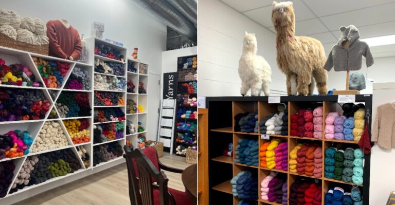 These 9 Massachusetts Yarn Shops Have Hand-Dyed Skeins Too Beautiful To Resist