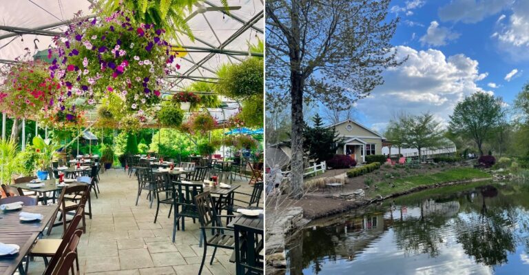 This Connecticut Greenhouse Café Turns Brunch Into A Garden Escape