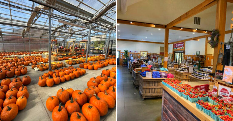 The Massive New York Farm Stand Piled High With Squash, Pumpkins, And Homemade Pies Every September