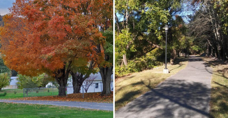 The Secret Mountain Town In Tennessee That Gets The Best Early Fall Colors