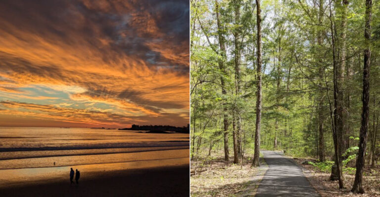 10 Easy Massachusetts Walks Under 2 Miles For Anyone Who Wants Views, Not A Workout
