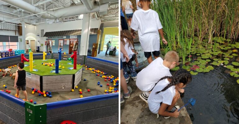 This Tennessee Children’s Museum Pairs Hands-On Exhibits With 25 Acres Of Wetland Trails And Wildlife