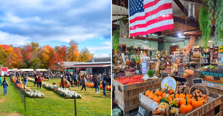 This New York Orchard Has Pumpkins, Fresh Cider Donuts, Live Music, And All The Apples You Can Eat