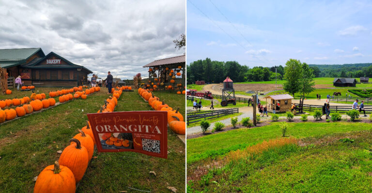 The Quirky New York Harvest Festival That Throws A Whole Party For Potatoes