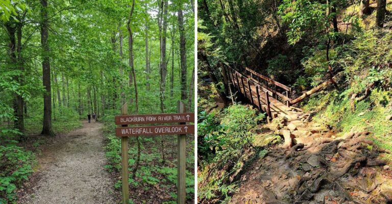 Tennessee Copperheads Change Their Habits In September And Hikers Need To Know Where To Look