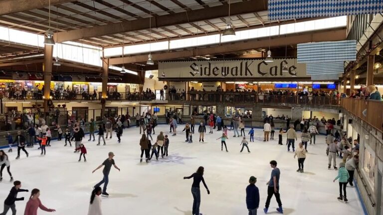 Inside This Gatlinburg Mountaintop Park In Tennessee, Families Skate Indoors And Visit Black Bears Year-Round